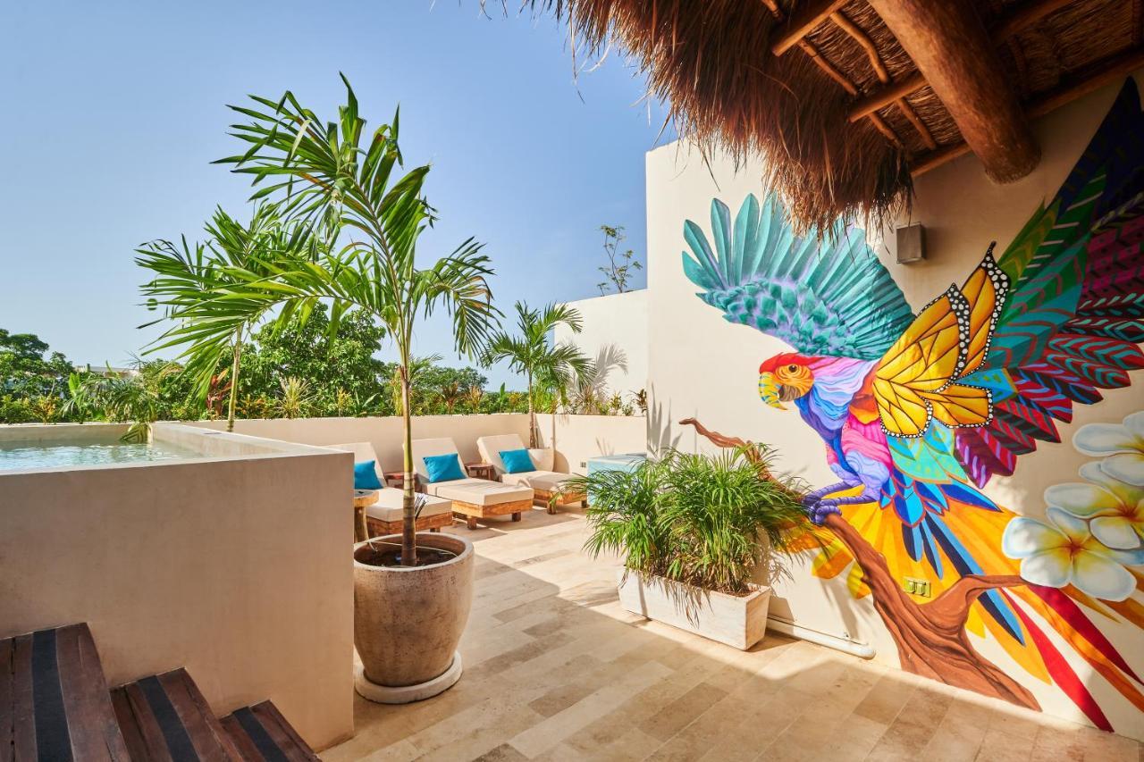 Spacious & Comfy Penthouse Oasis With Plunge Pool 图卢姆 外观 照片