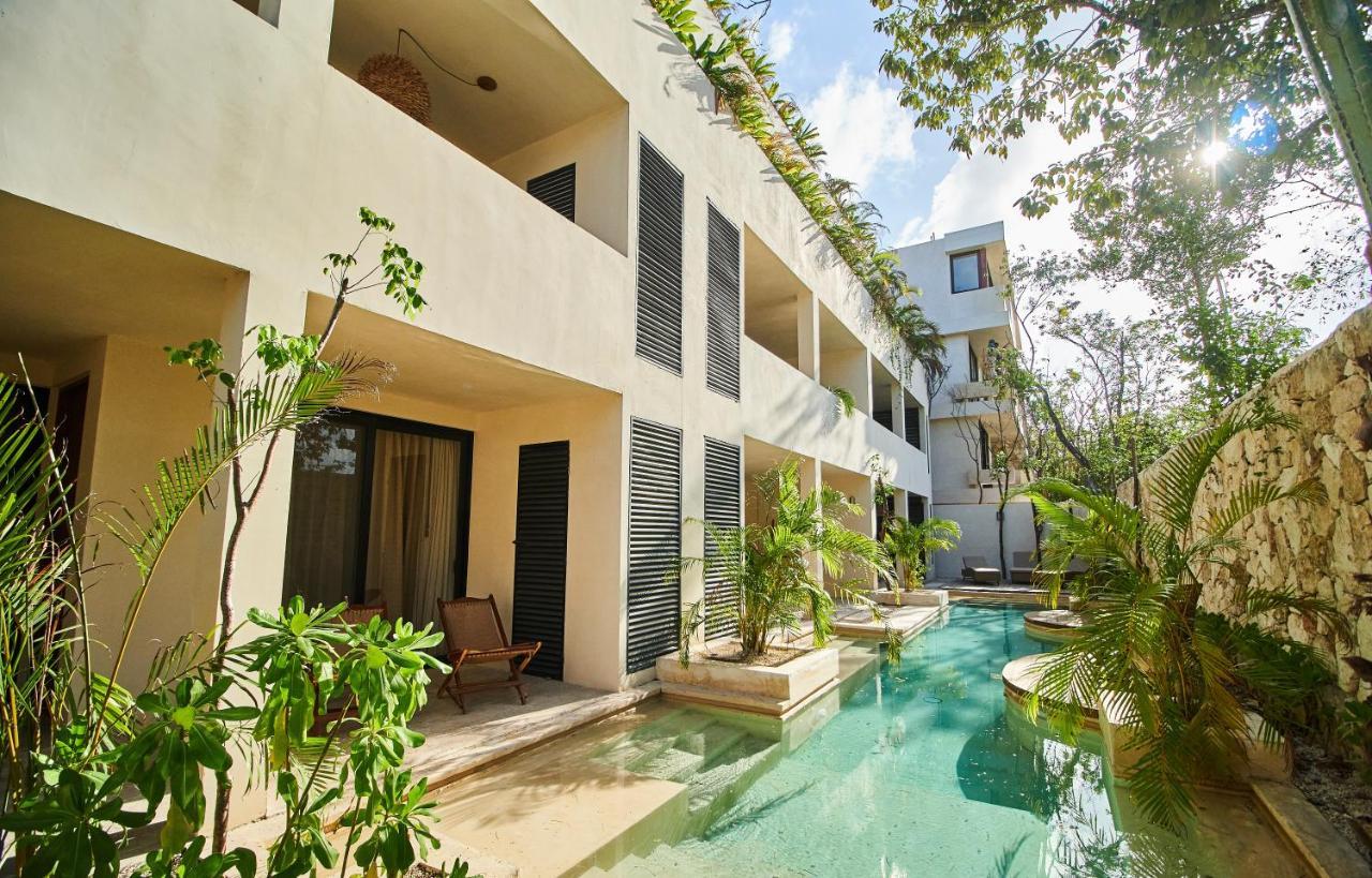 Spacious & Comfy Penthouse Oasis With Plunge Pool 图卢姆 外观 照片