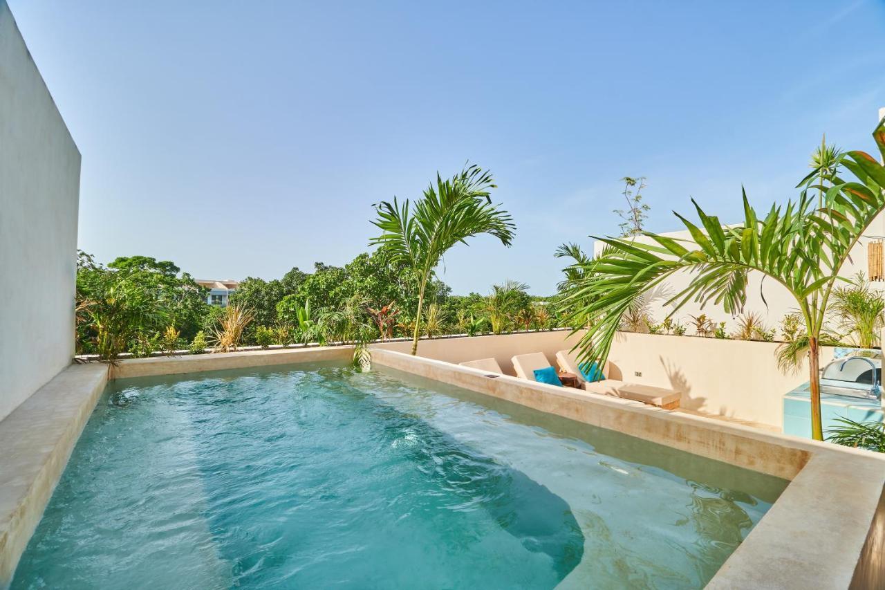 Spacious & Comfy Penthouse Oasis With Plunge Pool 图卢姆 外观 照片