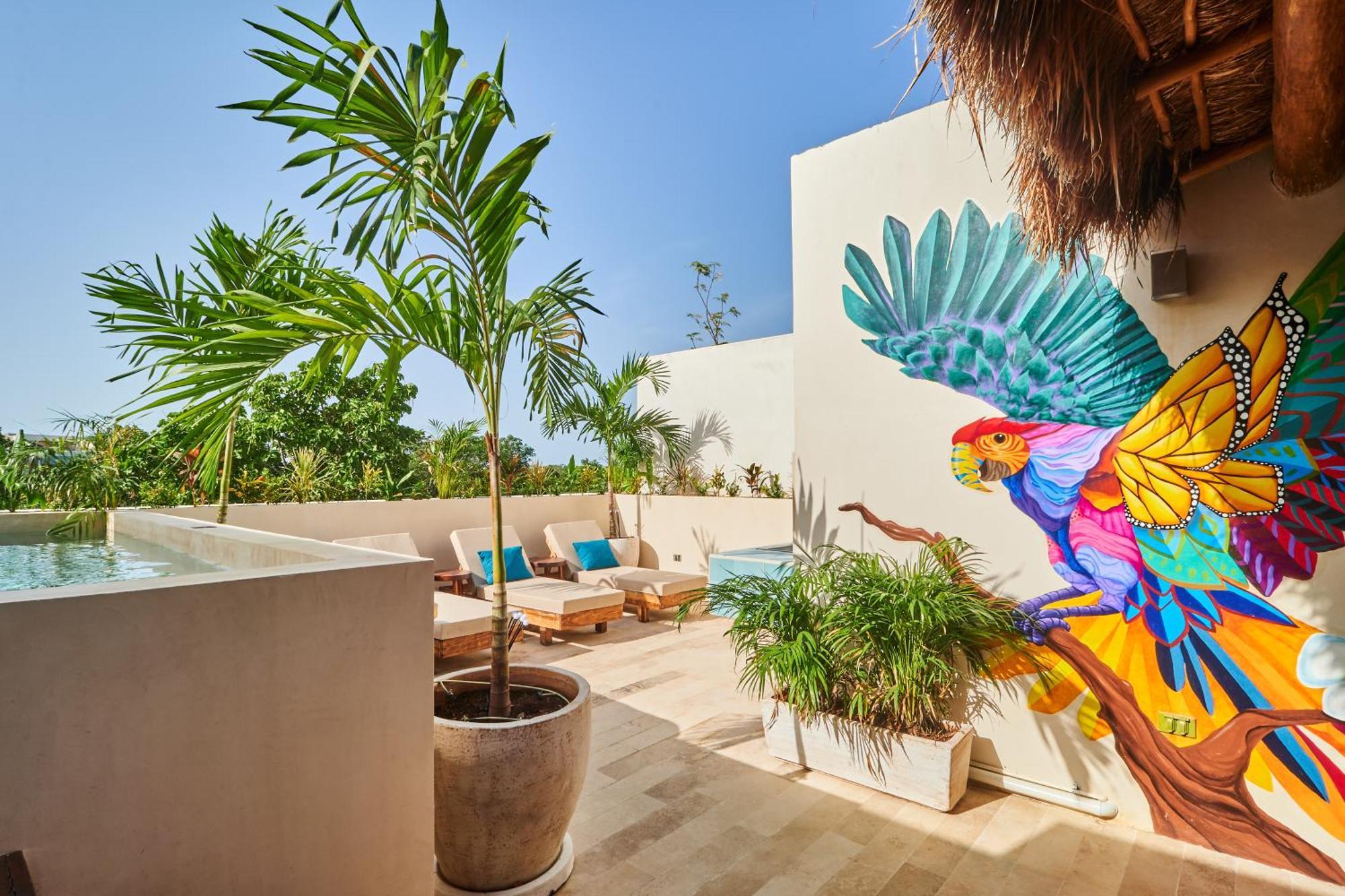 Spacious & Comfy Penthouse Oasis With Plunge Pool 图卢姆 外观 照片