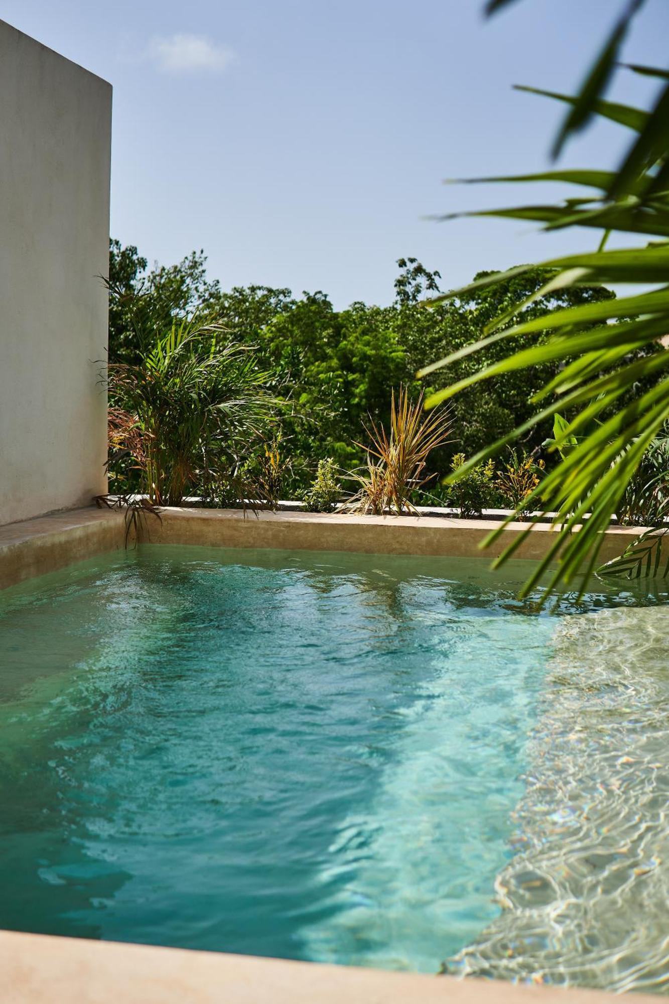 Spacious & Comfy Penthouse Oasis With Plunge Pool 图卢姆 外观 照片